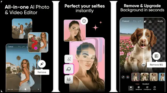 Picsart for PC